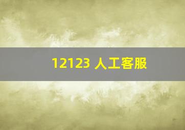 12123 人工客服